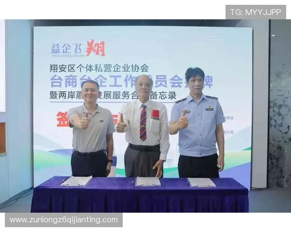 尊龙网站下载最新版本，详细操作指南与安全保障措施