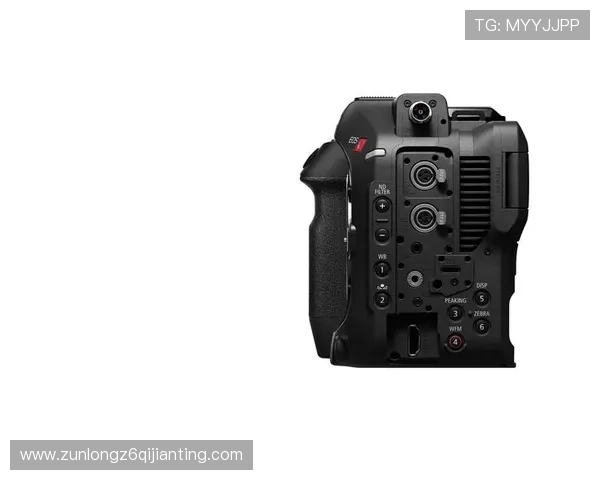 尊龙z6官方客户端下载指南，轻松一步开启精彩纷呈的游戏之旅