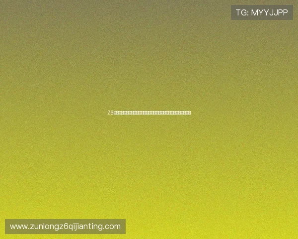 Z6尊龙现金开户客户服务全天在线，专业客服为您提供全方位的技术支持